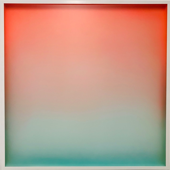 Peter Gronquist: Gut Check, 2020, Acrylic and enamel on wood and plexiglass, 45 x 45 x 2.5 inches