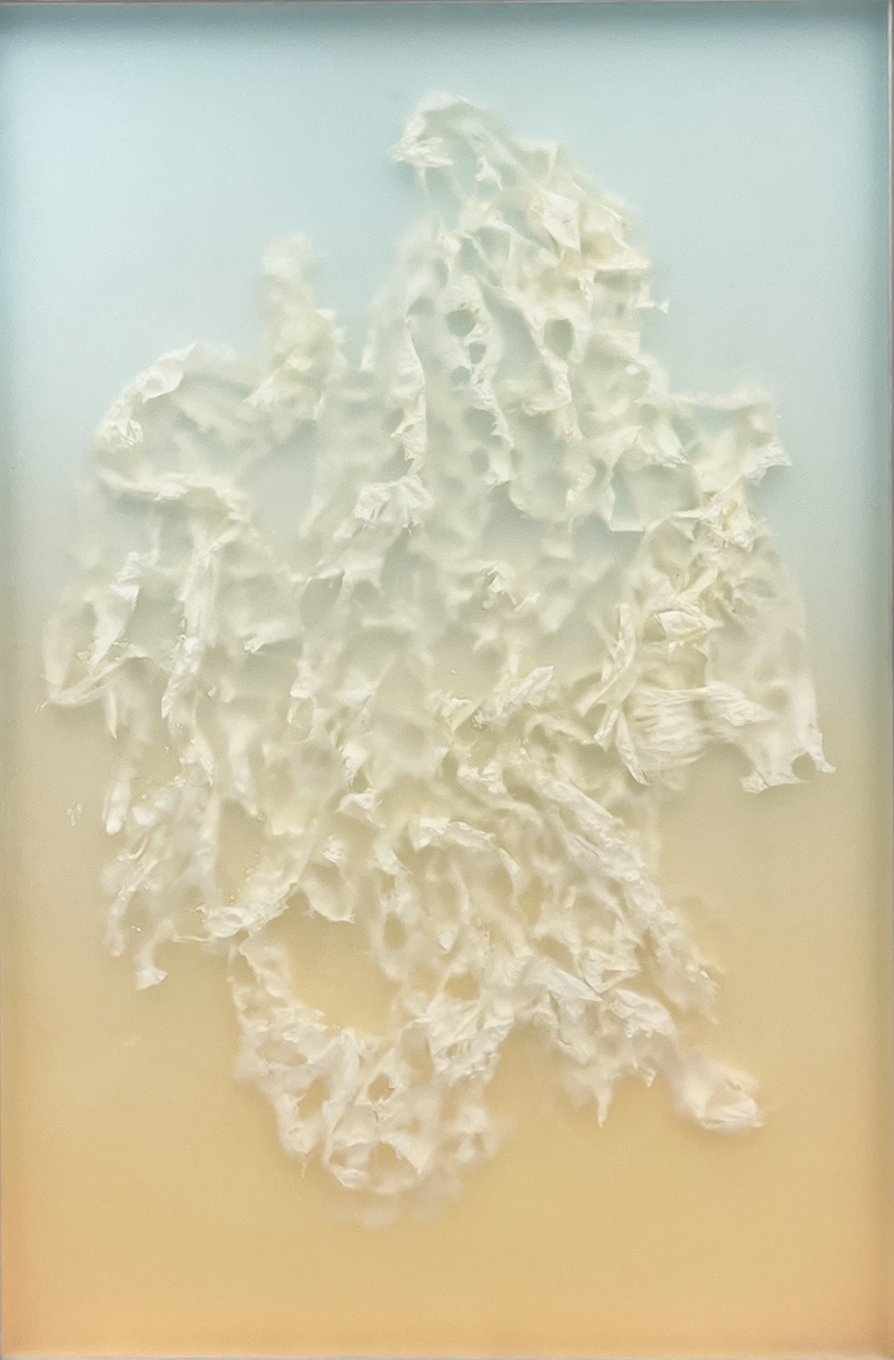Peter Gronquist, New Things, 2025, Mixed Media, 72 x 48 x 2.25 inches