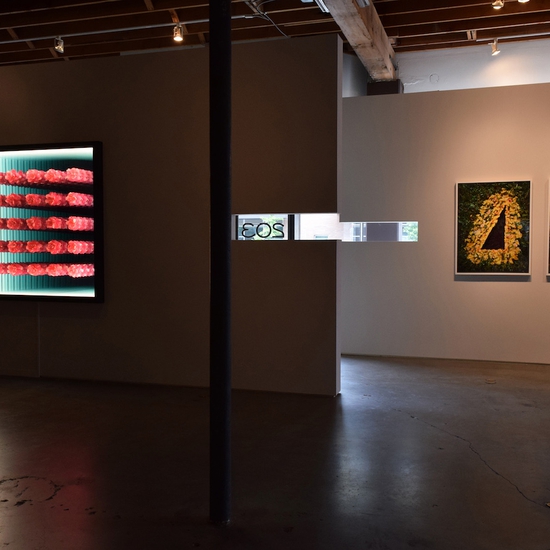 Peter Gronquist Installation at Summer Dreams, 2018