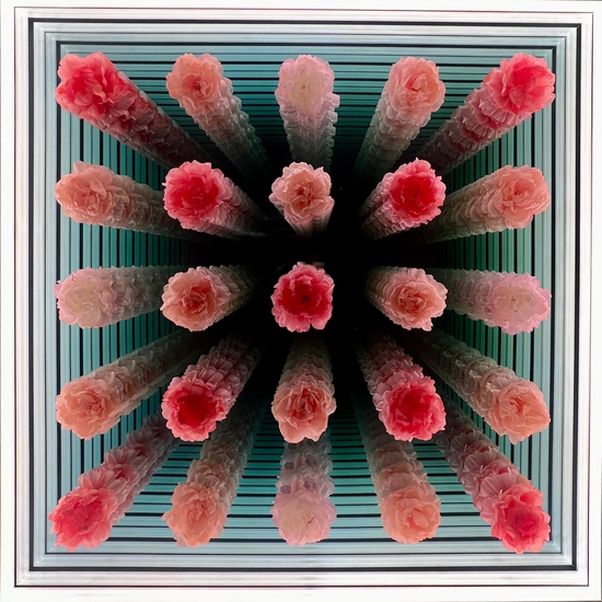 (9264) Peony -- Peter Gronquist