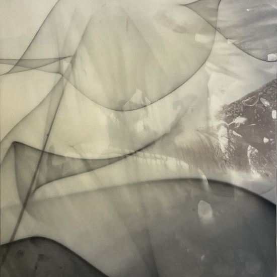 Peter Gronquist, Reflectoglyph 15, 2023, Light reflected from twisted steel onto black and white photo paper, then developed, 40 x 30 x 1.5 inches