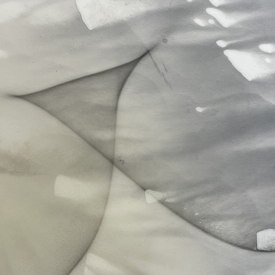 Detail of 'Reflectoglyph 15'