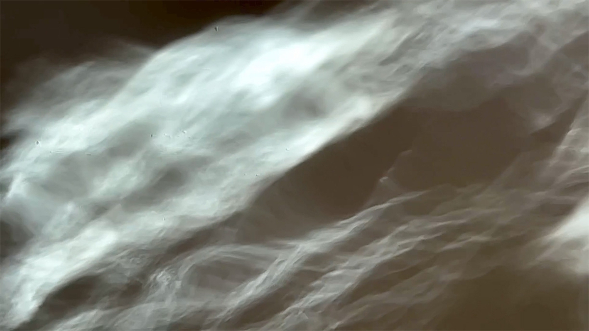 Peter Gronquist: Swarm, 2021, Video, Edition of 5