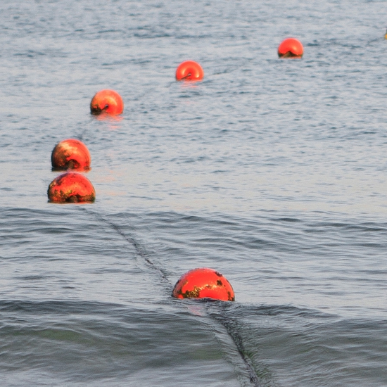 Detail of 'Tashlich (Fisherman Floats)'