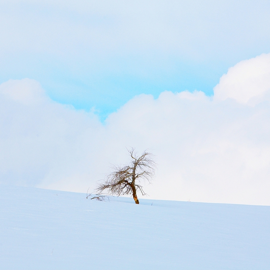 Jules Frazier | Hill City Homestead, 2009, Fine art archival print, 20 x 30 and 34 x 51 inches