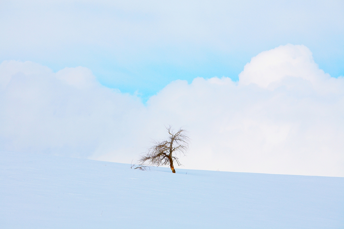 Jules Frazier | Hill City Homestead, 2009, Fine art archival print, 20 x 30 and 34 x 51 inches