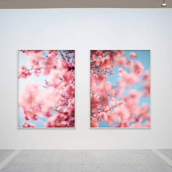 Gallery install of Cherry Blossom D and Cherry Blossom B