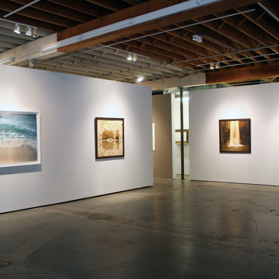 "In Memoriam," 2014 Exhibition with Zaria Forman