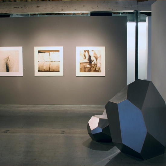 "In Memoriam," 2014 Exhibition with Zaria Forman