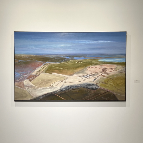 Installation of 'Shaniko,' 2024, oil on canvas, 49 x 79 x 2.25 inches