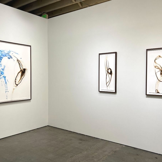 Etsuko Ichikawa, Homecoming, Install