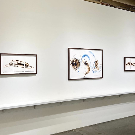 Etsuko Ichikawa, Homecoming, Install