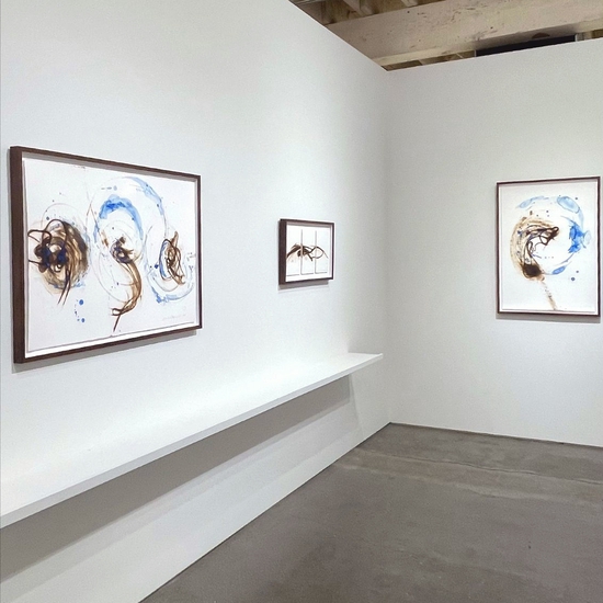 Etsuko Ichikawa, Homecoming, Install