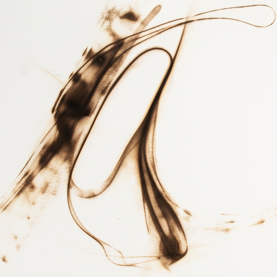 Details of "Trace 0219"