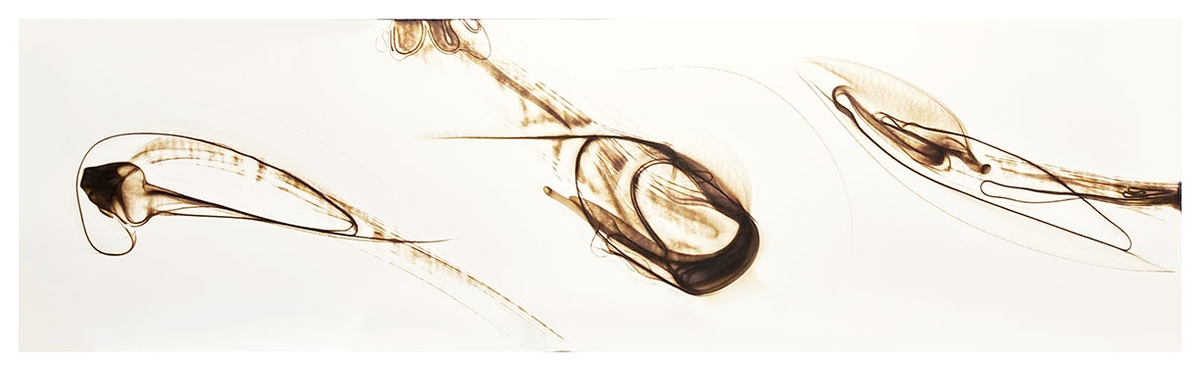 Etsuko Ichikawa, Trace 0326, 2026, Glass pyrograph on paper, 34 x 112 inches