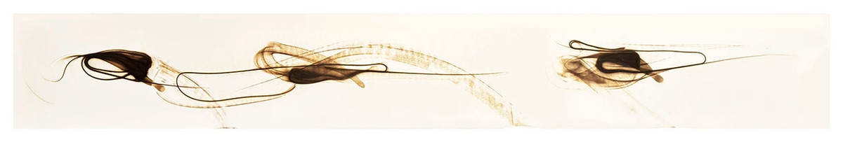 Etsuko Ichikawa, Trace 0426, 2026, Glass pyrograph on paper, 16 x 112 inches