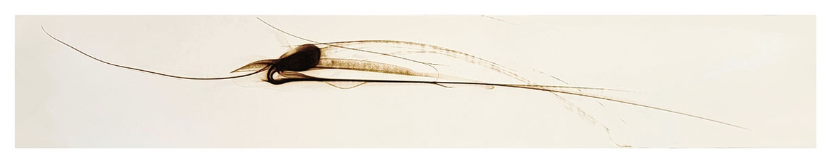 Etsuko Ichikawa, Trace 0526, 2026, Glass pyrograph on paper, 16 x 96 inches
