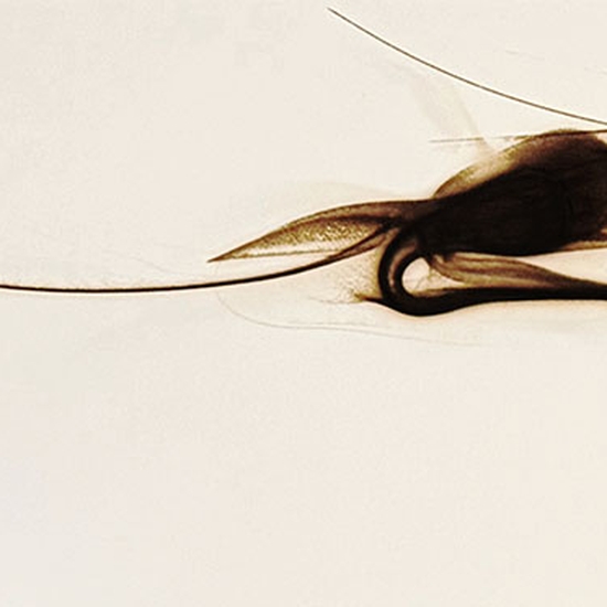 Detail of 'Trace 0526'