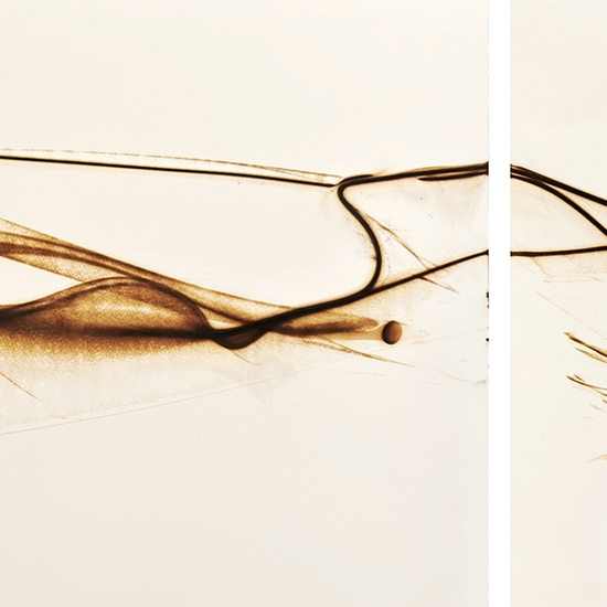 Detail of 'Trace 0826'