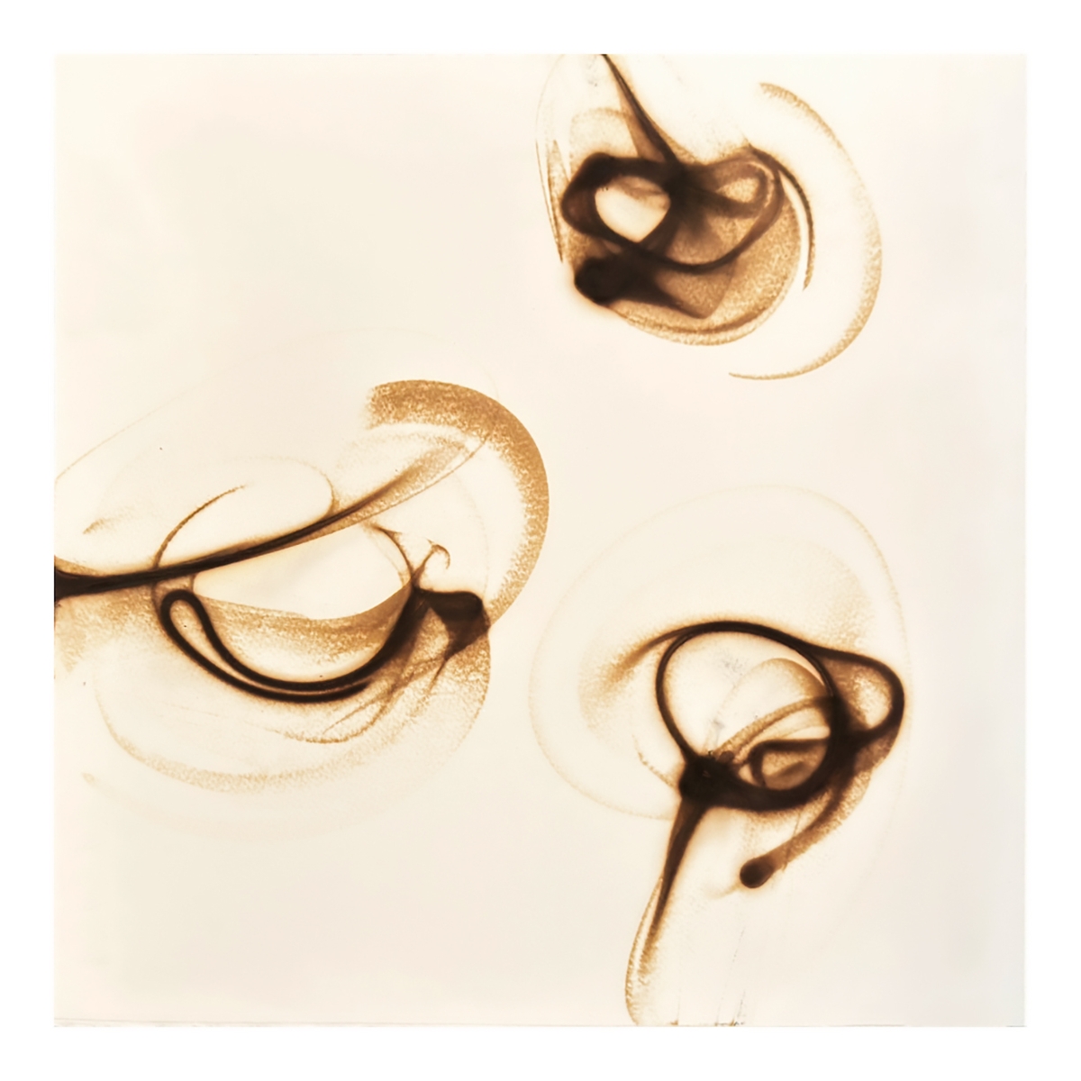 Etsuko Ichikawa, Trace 1026, 2026, Glass pyrograph on paper, 16 x 16 inches