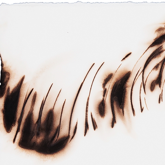 Details of "Trace 13314"