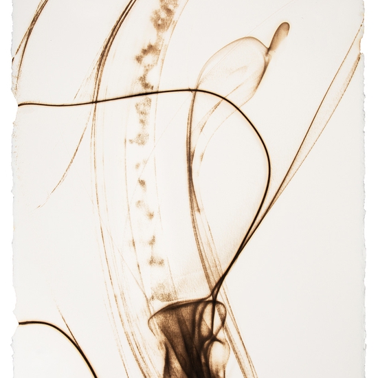 Trace 1619