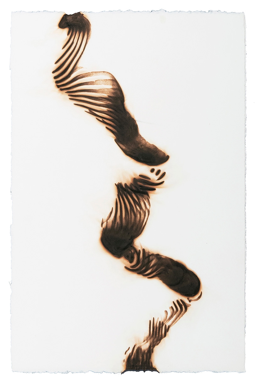 Etsuko Ichikawa: Trace 16506, 2006, Glass pyrograph on paper, 22.5 x 15 inches