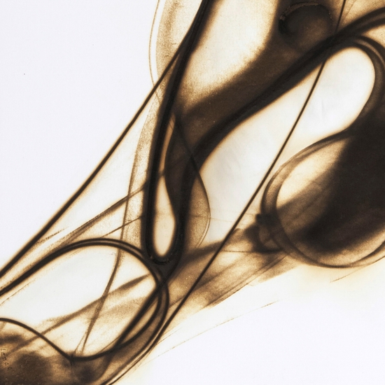 Details of "Trace 19006"