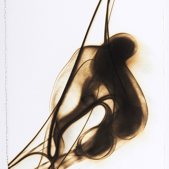 Trace 19006