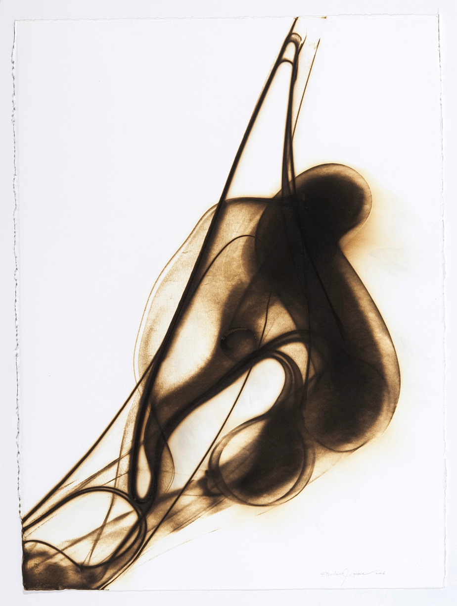 Etsuko Ichikawa: Trace 19006, 2006, Glass pyrograph on paper, 30 x 22.5 inches