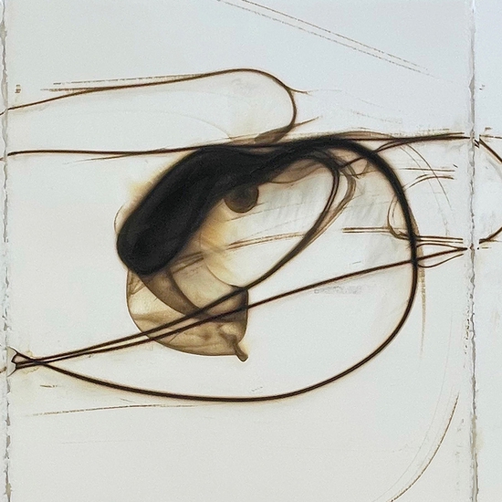 Details of "Trace 2422"