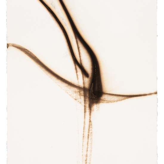 Etsuko Ichikawa: Trace 2619, 2019, Glass pyrograph on watercolor paper, 11.5 x 7.5 inches