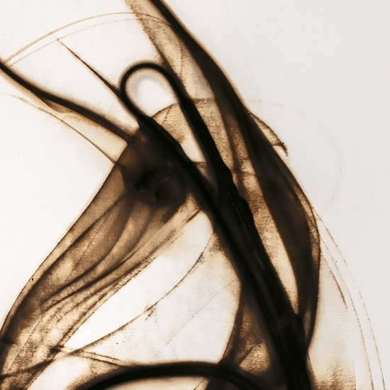 Detail of 'Trace 2625'