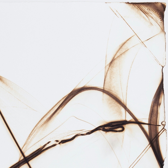 Details of "Trace 2813"