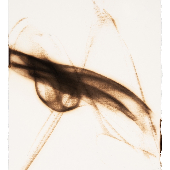 Trace 2819