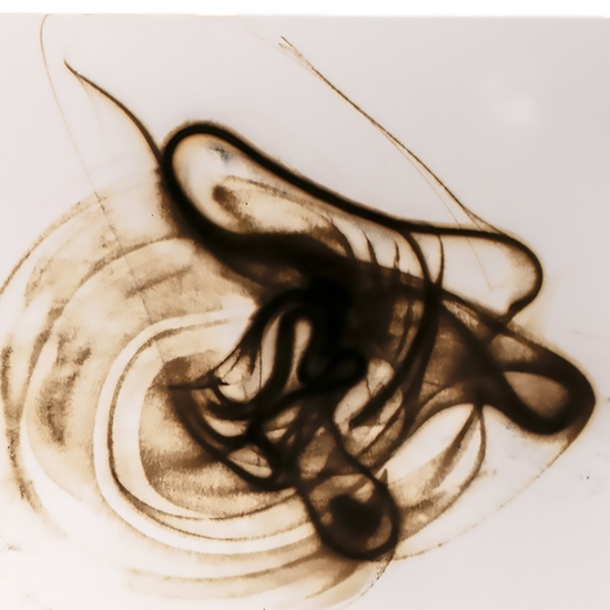 Detail of 'Trace 2825'