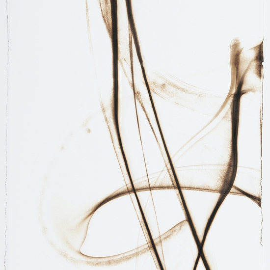 Trace 3213