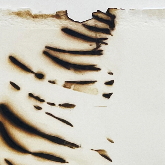Details "Trace 3222"