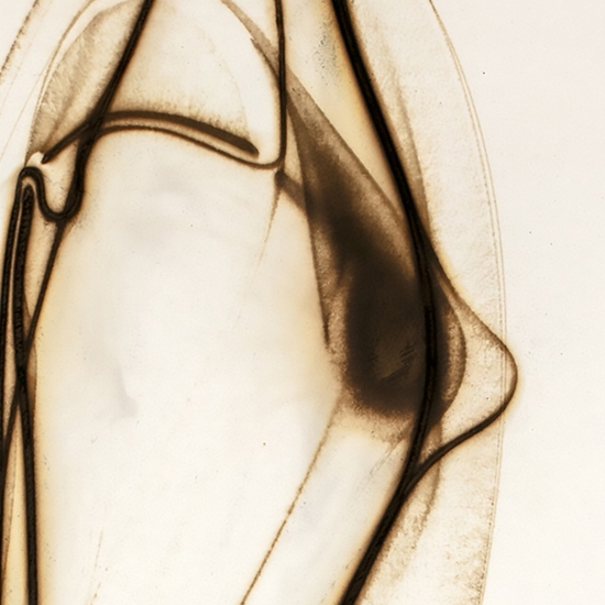 Detail of 'Trace 3325'