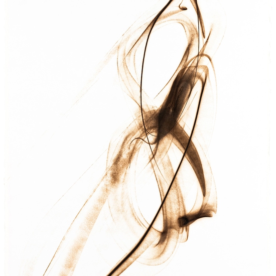 Trace 358