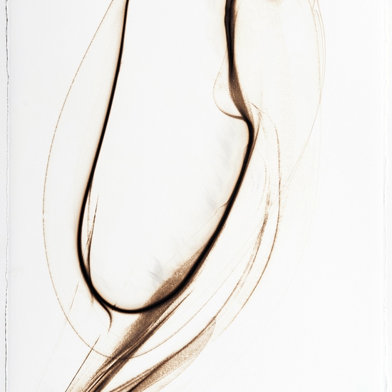 Trace 5112