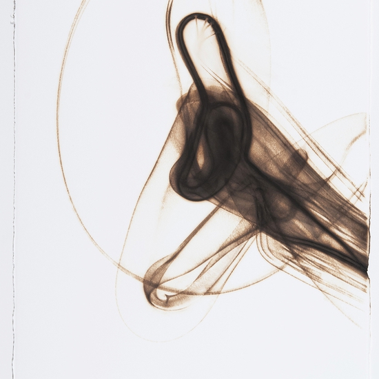 Trace 5312