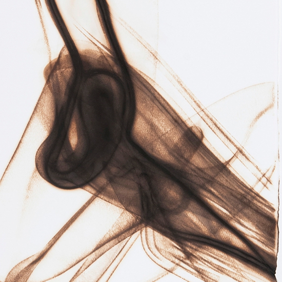 Details of "Trace 5312"