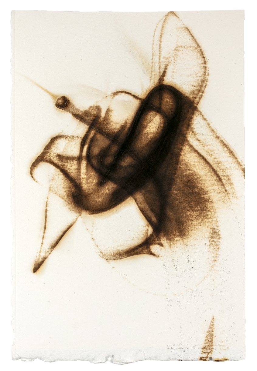 Etsuko Ichikawa, Trace 5325, 2025, Glass pyrograph on paper, 11.5 x 7.5 inches