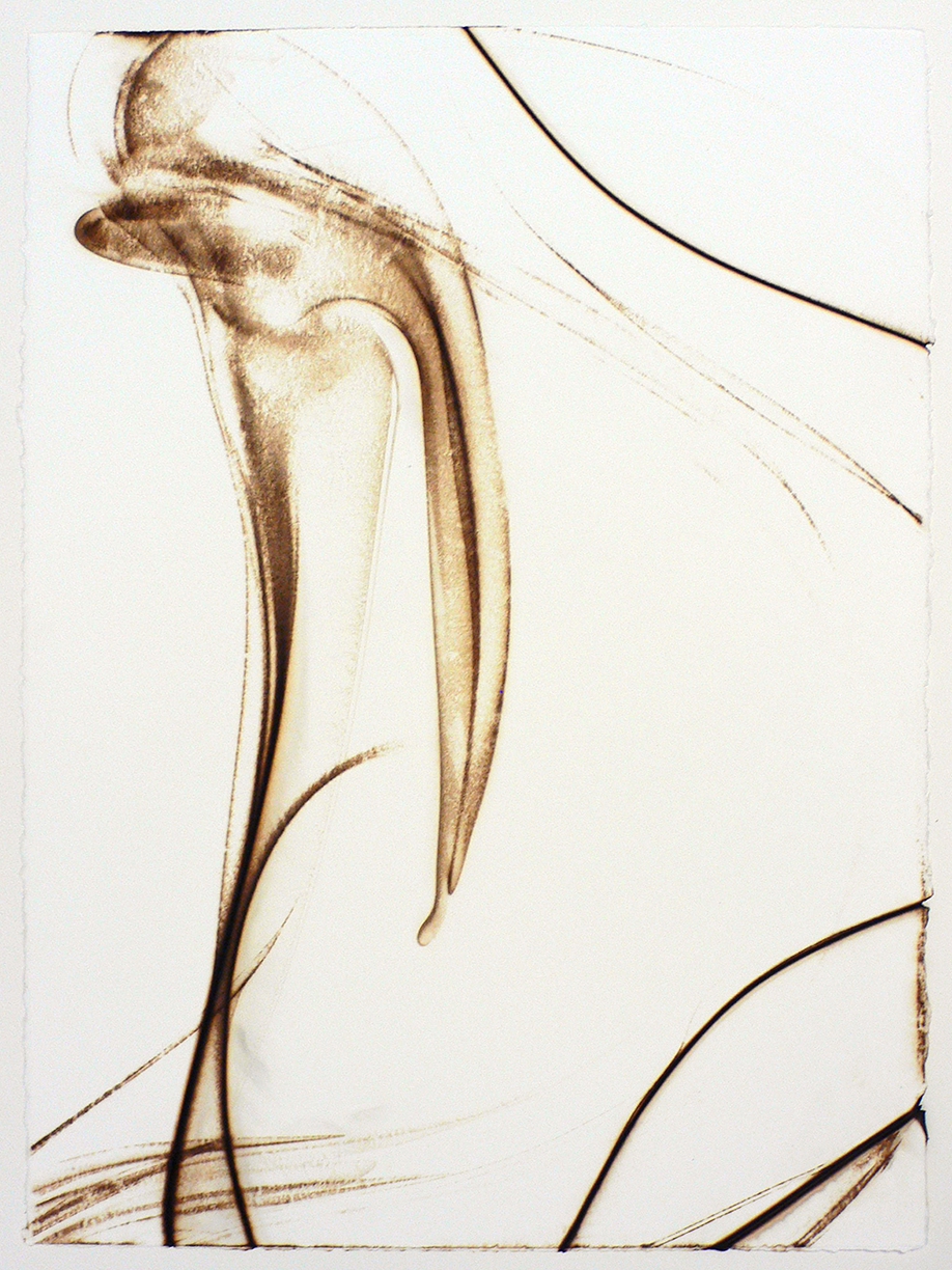 Etsuko Ichikawa: Trace 6309, 2009, Glass pyrograph on paper, 30 x 22.5 inches