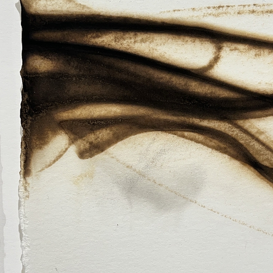 Detail of 'Trace 7225'