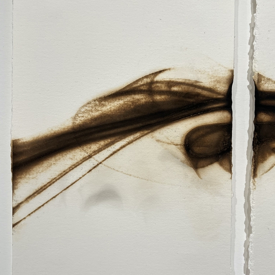 Detail of 'Trace 7225'
