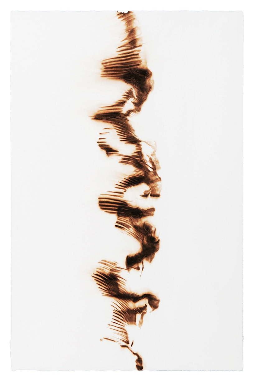 Etsuko Ichikawa: Trace 748, 2008, Glass pyrograph on paper, 22.5 x 15 inches