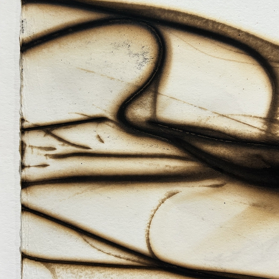Detail of 'Trace 7525'