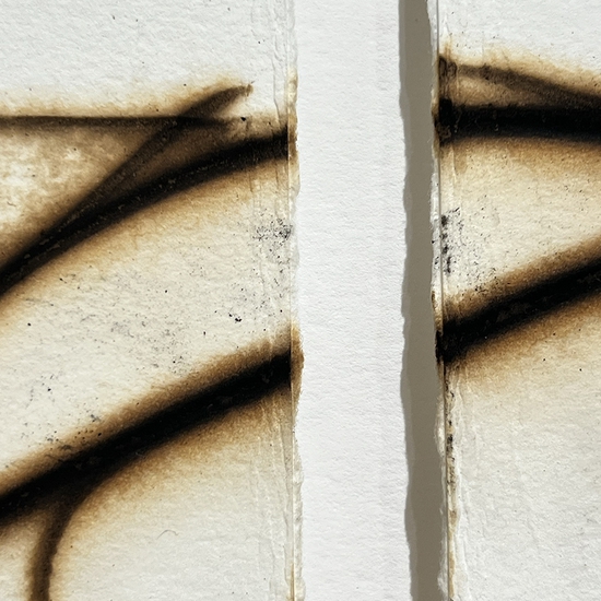 Detail of 'Trace 7525'